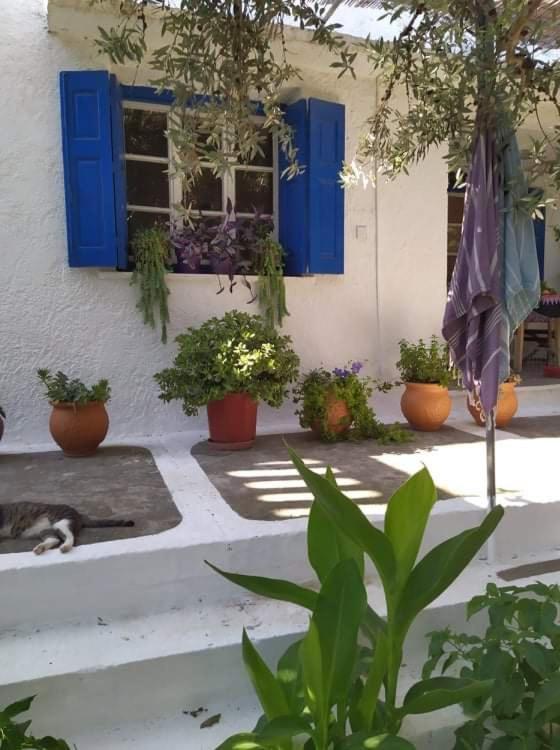 Stamoulis Apartments Kampos Marathokampou Extérieur photo