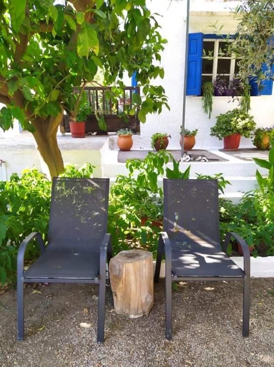 Stamoulis Apartments Kampos Marathokampou Extérieur photo