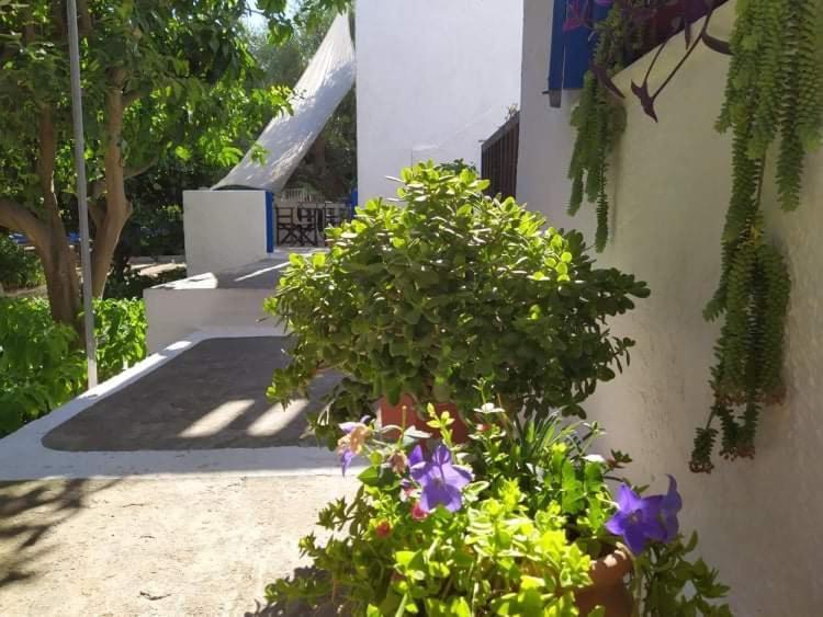 Stamoulis Apartments Kampos Marathokampou Extérieur photo