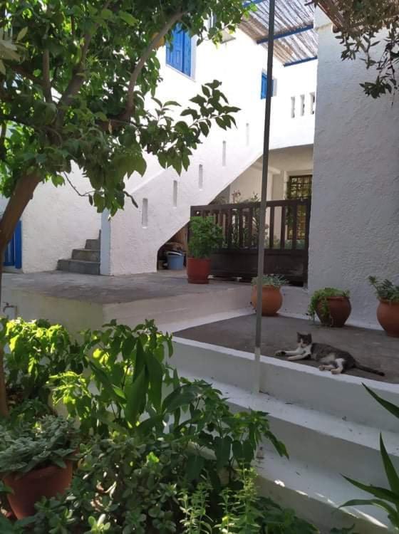 Stamoulis Apartments Kampos Marathokampou Extérieur photo